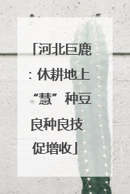 河北巨鹿：休耕地上“慧”种豆 良种良技促增收